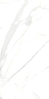 P15006 Royal Marble White Polished Rect 60x120