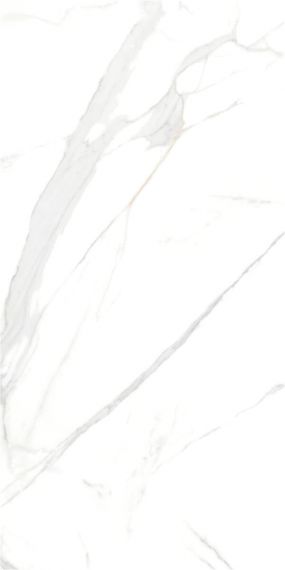 P15006 Royal Marble White Polished Rect 60x120