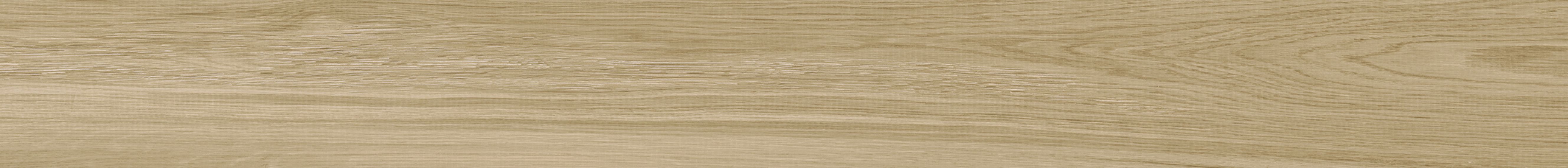 P16700591 Nobu Arce 19.3x180