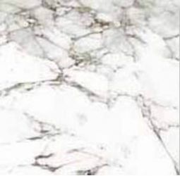 P1856802 Calacata Silver 59.6x59.6