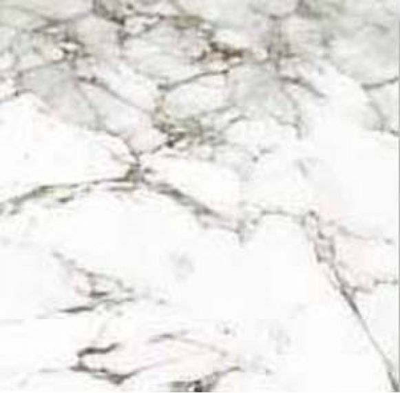 P1856802 Calacata Silver 59.6x59.6