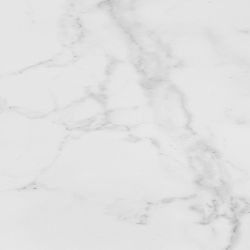 P1856896 V5590680 Carrara Blanco Brillo 59.6x59.6