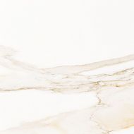 P1856898 Calacata Gold 59.6x59.6