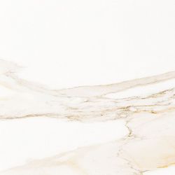 P1856898 Calacata Gold 59.6x59.6