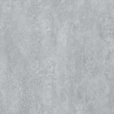P1856901 Rodano Acero(4P) 59,6x59,6