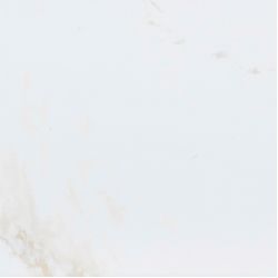 P1856999 Persia S-R 59,6x59,6