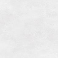 P18570791 Mexico Caliza 59.6x59.6