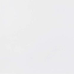 P1857101 MATT WHITE 59.6x59.6