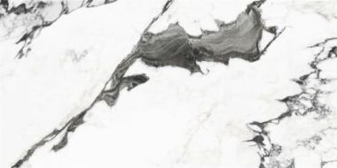 P19707 Panda Marble White Polished 60x120
