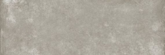 P310344MF6 WALK ON Silver pl 100x300