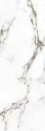 P3470585 Calacata Silver 31.6x90