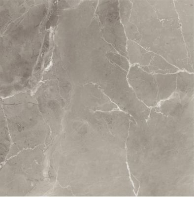 P60E ELEGANCE GREIGE RT 60X60