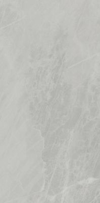 P612498 Gris De Savoie Soft 60x120