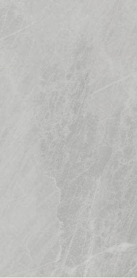 P612498 Gris De Savoie Soft 60x120