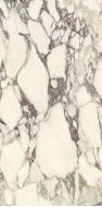 P612671 Calacatta Viola Soft 60x120