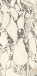 P612671 Calacatta Viola Soft 60x120