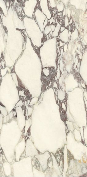 P612671 Calacatta Viola Soft 60x120