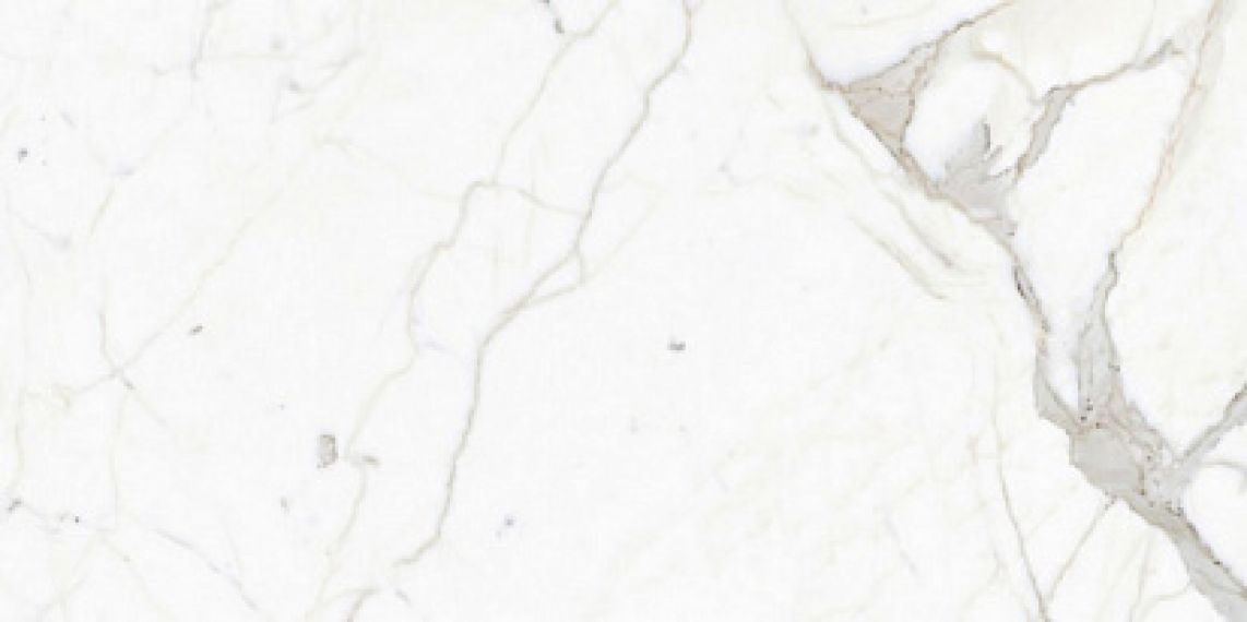P62265 Calacatta Nat 60x120