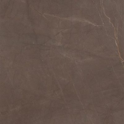 P66336 SQ.GAUDI STONE N. 60X60