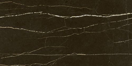 PALACE PORT LAURENT 59x119