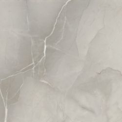 PASSION LUX 60 GREY 60*60