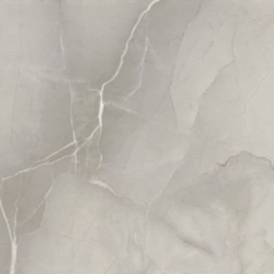 PASSION LUX 60 GREY 60*60