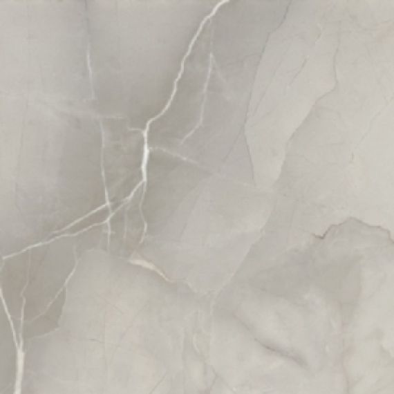 PASSION LUX 60 GREY 60*60