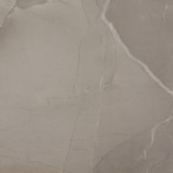 PASSION LUX 60 TAUPE 60*60