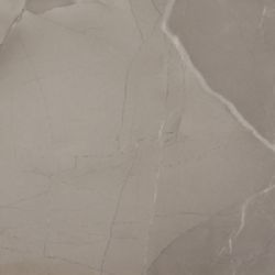 PASSION LUX 60 TAUPE 60*60