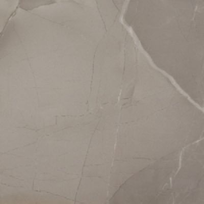 PASSION LUX 60 TAUPE 60*60