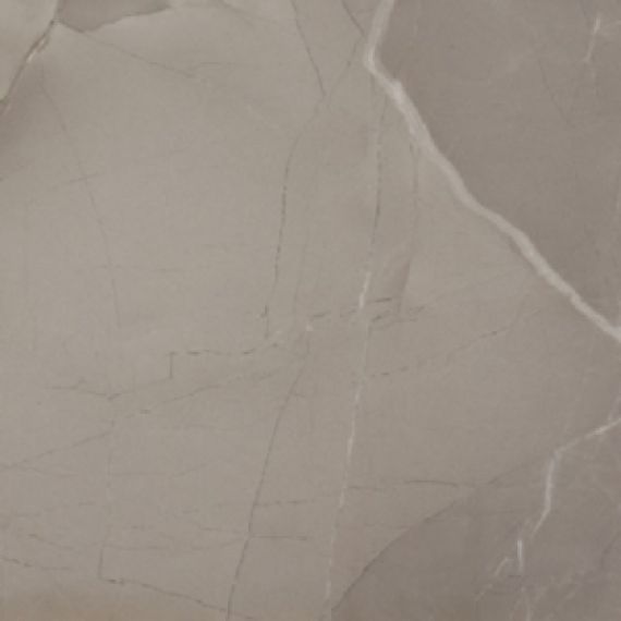 PASSION LUX 60 TAUPE 60*60
