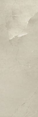 PASSION R90 CHAMPAGNE 30*90