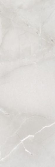 PASSION R90 ICE 30*90