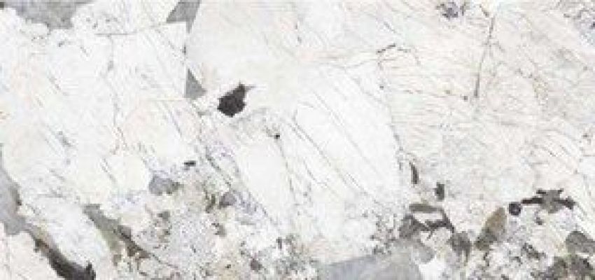 PAT WH6 260 LP 260x120