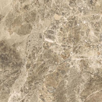 PD60 Purity Paradiso RT 60x60
