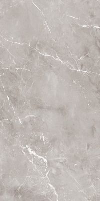 PF60004301 Epoque Grey Lap 60X120