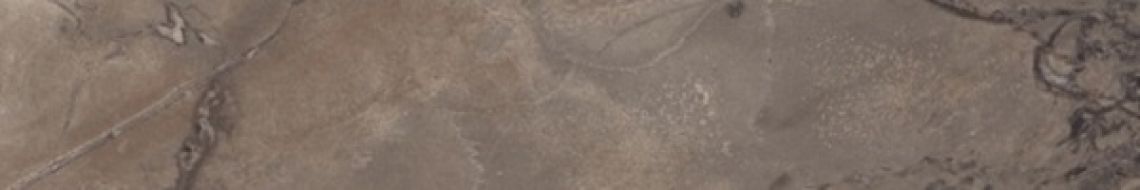 PF60004412 Epoque Brown Ret 10X60