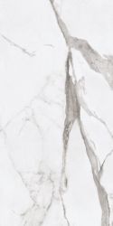 PF60004770 Epoque White Statuario Ret 60X120