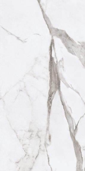 PF60004974 Epoque White Statuario Lap 60X120