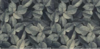 PF60008438 Foliage Ret 60x120