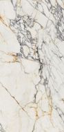 PF60009341 Arabescato Lapp. 3d Ret 60x120