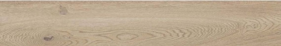 PF60010058 GOLD NAT 20X120