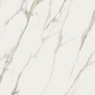 PF60010362 CALACATTA MICHELANGELO LUX R 120x120