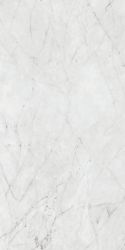 PF60012758 Керамогранит Carrara Nat Ret 60x120