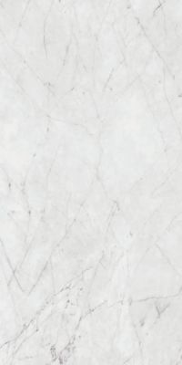 PF60012758 Керамогранит Carrara Nat Ret 60x120