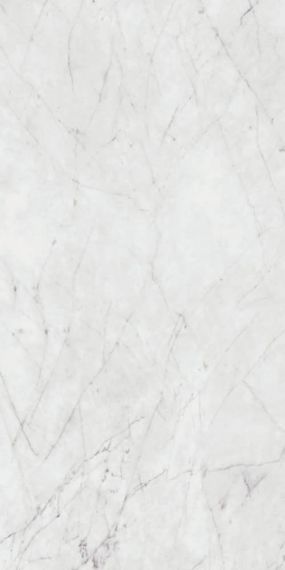 PF60012758 Керамогранит Carrara Nat Ret 60x120