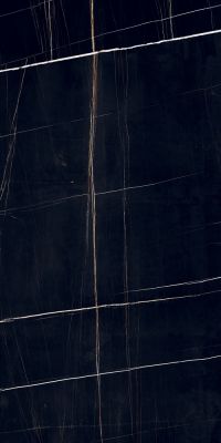 PGT120609705SGR Керамогранит Dorato Черный 60x120