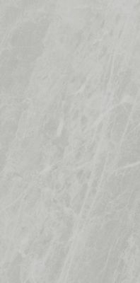PL612498 Gris De Savoie Lucidato 60x120