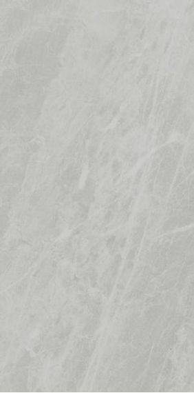 PL612498 Gris De Savoie Lucidato 60x120
