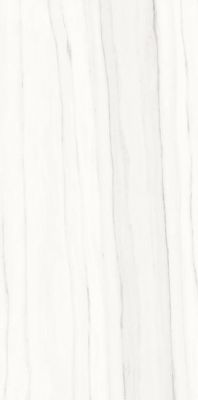 PL612517 Zebrino Bianco Luc 120x60